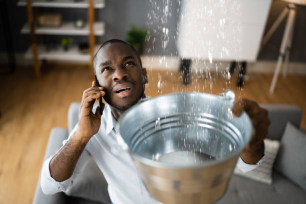 Best Ceiling water damage repair  in Salineville, OH