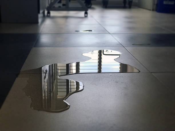 Best Water damage contractors near me  in Salineville, OH
