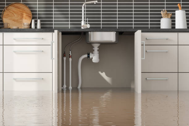 Best Flooded house restoration  in Salineville, OH