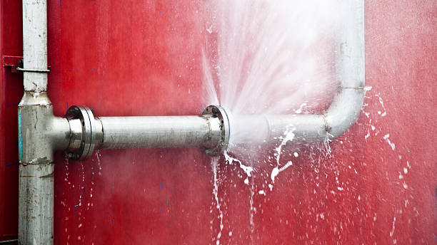 Best Mold removal after water damage  in Salineville, OH